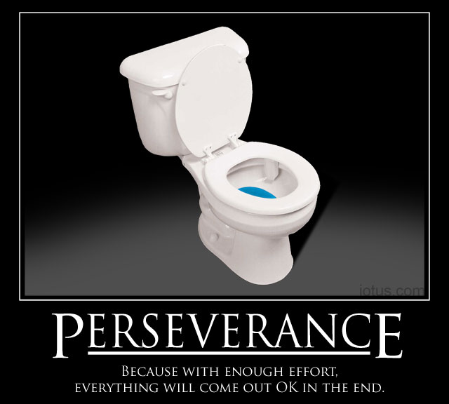 Perseverance